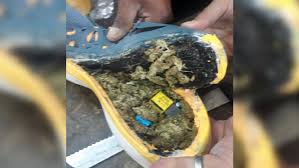 Mujer pretende ingresar sustancia y objetos prohibidos en zapatillas y  desodorante al penal de Cajamarca