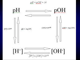 Objective Students Will Learn How To Name Acids Identify