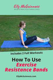 Resistance Band Kit Workout Guide Exercise Resistance Bands In 2020 Exercise Workout Workout Guide