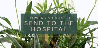 Studies have even shown that flowers can cause a positive mood in people, which can certainly aid recovery. How To Deliver Flowers To Hospital
