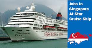 Google Cruise Ship Cruise Singapore
