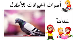 pin on أسماء الحيوانات باللغة العربية وأصواتها