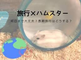 ハムスター 何 日 放置