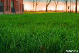 This is the newest place to search, delivering top results from across the web. How Much Should You Spend On Buying Land To Build A House