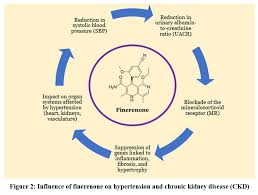 Image result for Finerenone