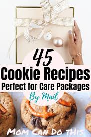 45 Amazingly Tasty Cookies You Can Easily Send By Mail Christmas Cookies Packaging Yummy Cookies Cookie Exchange Packaging