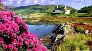 Spring scenery wallpaper 1080p / most. Spring Season Landscape Wallpapers Wallpaper Cave