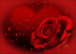 Https Encrypted Tbn0 Gstatic Com Images Q Tbn And9gcsvzej9 Pxeyf0y3slsizeix5tuneqolrxd2q Usqp Cau