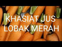 Anda dapat mengonsumsi jus lobak setiap hari untuk menjaga tubuh anda tetap terhidrasi. Khasiat Jus Lobak Merah Untuk Kesihatan Kita Youtube