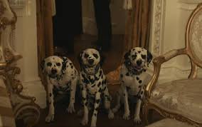 But life seems intent on making sure her dreams. A Cruella Sequel Major Trade Sites Say Yes Mickeyblog Com