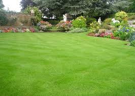 What is the best lawn grass in florida? Grassroots Lawn Treatments Ltd Professional Lawn Care Specialists