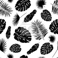 Coconut leaf branch, tropical jungle beach tree frond isolated vector. Tropical Leaves Seamless Pattern Exotic Palm Leaf Silhouette Posters For The Wall Posters Wrapping White Wallpaper Myloview Com