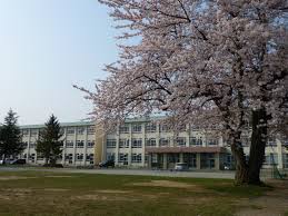 hirakawa02210.bz-service.net