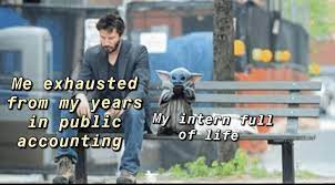 Accounting Memes Accounting Interns Accounting Humor Funny Friday Memes Accounting Jokes