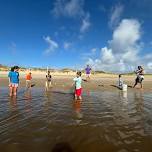 Salt Marsh Explorers (2026)