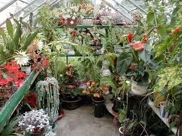 Greenhouse benches greenhouse shelves greenhouse farming home greenhouse greenhouse growing greenhouse ideas. The Perfect Garden Greenhouse