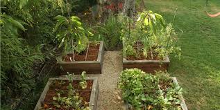 Maybe you would like to learn more about one of these? Raised Bed Vegetable Gardening Landscaping Network