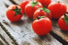 Can Parrots Eat Tomatoes Bird Feeder Expert