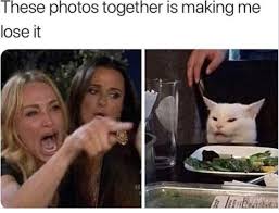 These Photos Together Are Perfect Internet Funny Cat Memes Humor