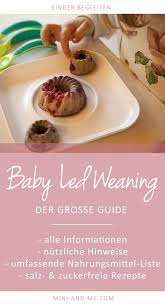 Baby Led Weaning Guide Infos Und Tipps Zur Selbstbestimmten Beikost Inkl Nahrungsmittel Liste Und Zucker Und Salzfreien Rezepten Salzfreie Rezepte Kochen Fur Baby Beikost