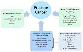 However, prostate cancer is often so slow growing that it would not cause a man any problems many men with prostate cancer can be followed by active surveillance. Occupation Related To Prostate Cancer Risk In Canadian Men Cancer Care Ontario