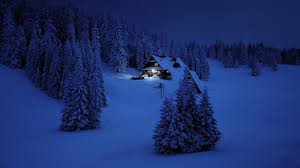 Maybe you would like to learn more about one of these? Snowy Night Pine Trees 2560x1440 Wallpaper Teahub Io