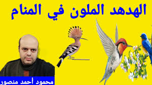 يراود الكثير من الناس حلم رؤية احد الاموات والحديث معهم في المنام، ولذلك يبحث الكثيرين عن تفسير حلم الميت ورؤيته والحديث معه او السير معه واتباعه في المنام، ولهذه الرؤيا الكثير من الدلالات والتفسيرات طبقاً لحالة الميت و حالة الرائي وتفاصيل الحلم، وسوف نستعرض. D1fzhkrt1ksnjm