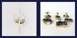 Millions of creative ideas about art, crafts, decor, diy, nail art designs with creative styles. 14 Creative Air Plant Display Ideas Best Air Plants For Indoors
