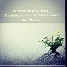 Acestea trebuie personalizate in functie de relatiile pe care le ai cu cei din jur. Ce E Bun In Ramas Bun Photos Facebook