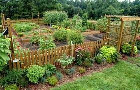 10 Garden Fence Ideas That Truly Creative Inspiring And Low Cost Fenced Vegetable Garden Summer Vegetables Garden Vegetable Garden Design