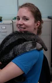 It's National Veterinary Technician Week! Here at the Zoo, we have two  wonderful Veterinary Technicians