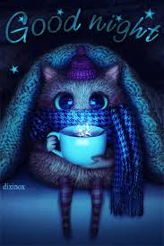 Download free and share on. Nighty Night Sweet Dreams Good Night Cat Cute Good Night Good Night