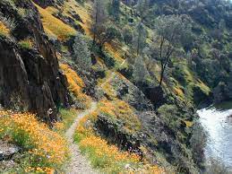 Hite Cove Trail Merced River Canyon Yosemite Np California In Spring Yellow Poppies Blooms Of Other Wildf Merced River Sierra Nevada Mountains Yosemite