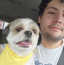 CONFIRMED! Art Rare (Illustration Rare) cards are confirmed to be staying  for the new MEGA Pokémon TCG expansion: Mega Brave & Mega Symphonia 🔥 Peep  the new previews showing these cards along