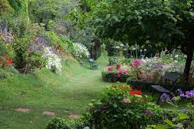 Onde Estamos Madeira Jardins Natureza Verde Com Imagens Jardim Madeira Verde