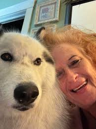 ❤Puppy love or Kitty love?❤