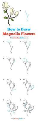 How To Draw Magnolia Flowers Really Easy Drawing Tutorial Flower Drawing Tutorials Drawing Tutorial Easy Drawing Tutorial