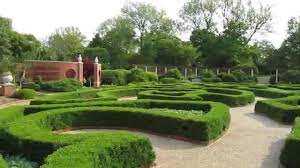 Boxwood blight is a fungal disease that affects plants in the boxwood family (buxaceae).it is caused by the fungal pathogen calonectria pseudonaviculata (syn. Missouri Botanical Garden Boxwood Garden Gazebo In April Vivaldi Spring Youtube