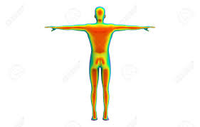 We did not find results for: 3d Rendering Back Side Of Human Body Scan By Infrared Ray Structure Measure With Clipping Path Isolated On White Background Stock Photo Picture And Royalty Free Image Image 129440931