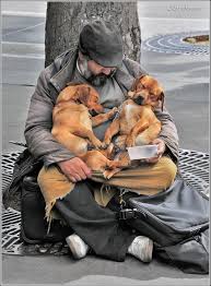 Trinity From Paris France 2010 Animals Beautiful Dogs Animals Friendship