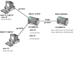 Generally, dhcp messages are broadcasted. Resolution Guide Ex Troubleshoot Dynamic Host Configuration Protocol Dhcp Juniper Networks