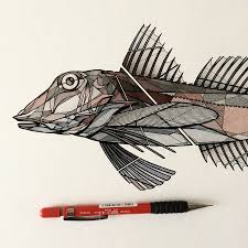Teuthis Fish Art Tail Fly Fishing Magazine