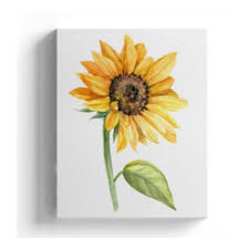 Harga bibit bunga matahari terkini. Daftar Harga Kayugraphy Home Decor Hiasan Kanvas Bunga Matahari No 64 20 X 25 Cm Bhinneka