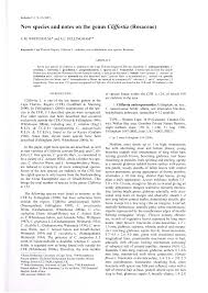 Image result for Cliffortia nitidula