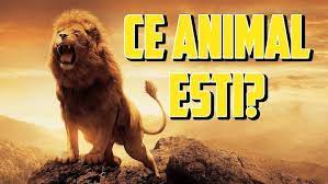 Anumite trăsături de personalitate ale omului se regăsesc şi în personalitatea animalelor, iar blândeţea şi agresivitatea sunt doar două dintre acestea. Ce Animal Esti Test De Personalitate Youtube