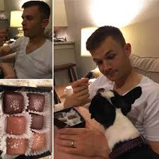For one, cats need to eat more meat due to the presence of. Human Foods Safe For Boston Terriers To Eat Boston Terrier Society