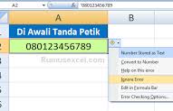 Check spelling or type a new query. Cara Cepat Membuat Nomor Urut Otomatis Di Excel