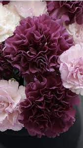 Pin On Wedding Flowers