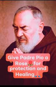 I'm Italian-American 🇮🇹🇺🇲