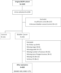 flow diagram showing exclusions made prior to analysis